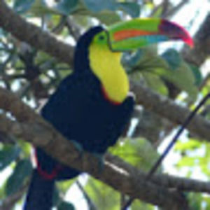 Meet your Posher, Max